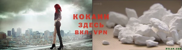 дмт Киреевск